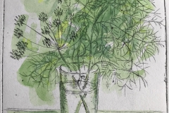 Fennel - Coloured