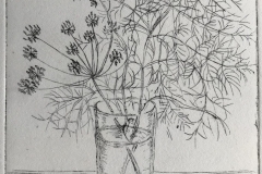 Fennel