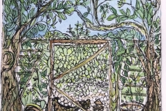 The Chicken Run - Coloured