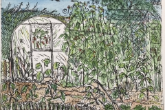 The Vegetable Garden - Coloured
