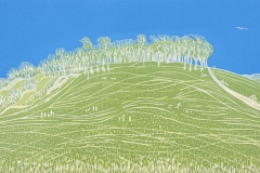 Chanctonbury Ring III: Limited edition reduction linocut. Edition of 11, image measures 60 x 21cm