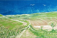 South Downs: Limited edition reduction linocut Edition of 10, image measures 28 x 14cm SOLD OUT