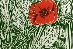 Poppy II: Limited edition two-plate linocut Edition of 16, image measures 12 x 12cm